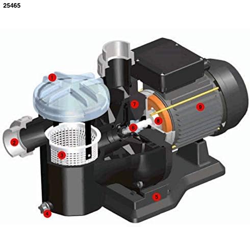 LordsWorld - Astralpool - 25465 Sena Pump 1,00Hp Einphasige Selbstansaugend - Pool-Wasser-Filter-Pum