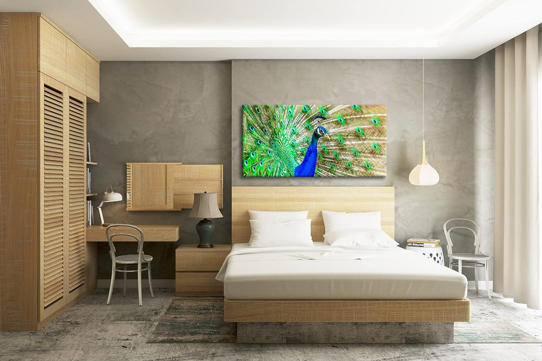 Eleganter, blauer Pfau Panorama 80x40 cm als Leinwandbild, Motiv fertig gerahmt auf Echtholzrahmen,