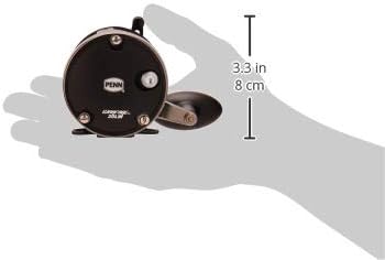 PENN Warfare Level Wind Multirolle für Salzwasser Boots- oder Kajakangeln 15| Right, 15| Right