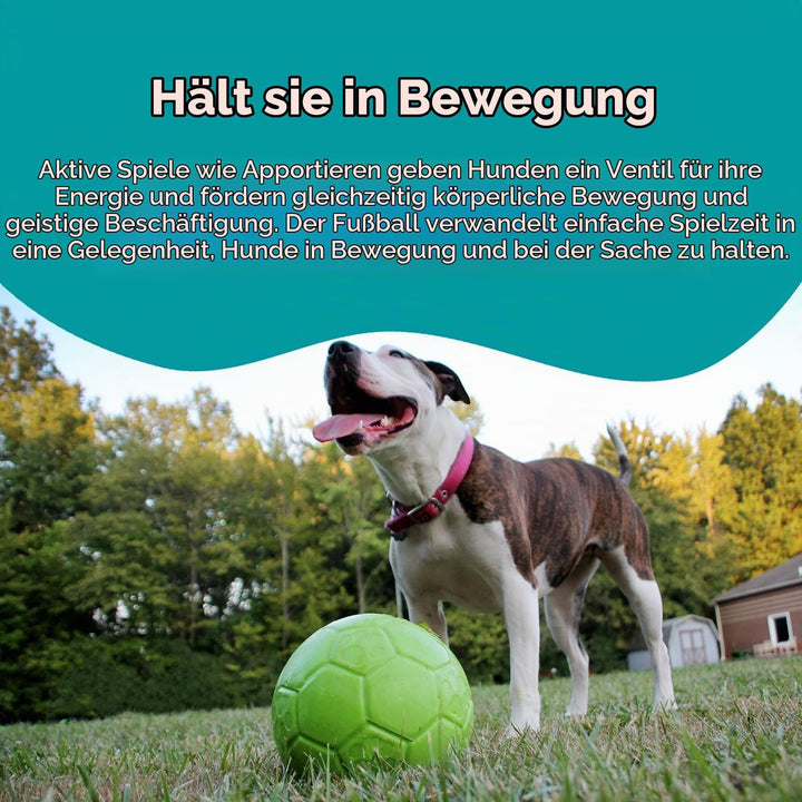 Horsemens Pride Inc. Jolly Haustiere Jolly Fussball - 8" Green Apple - Green Apple Clear, Unisex, HM
