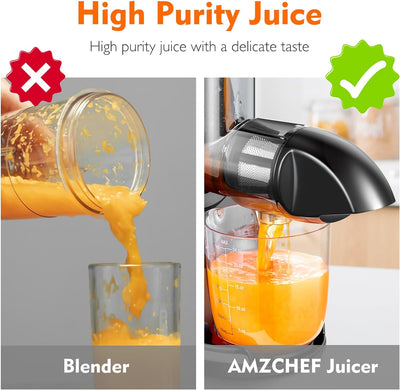 AMZCHEF Entsafter Gemüse und Obst Testsieger - Entsafter Slow Juicer mit Rückwärts-Kau-Funktion - Za