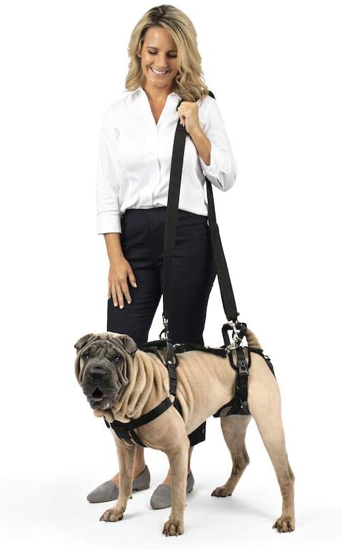 PetSafe CareLift Stützgeschirr – Ganzkörper-Hebehilfe mit Griff und Schultergurt – ideal für Haustie