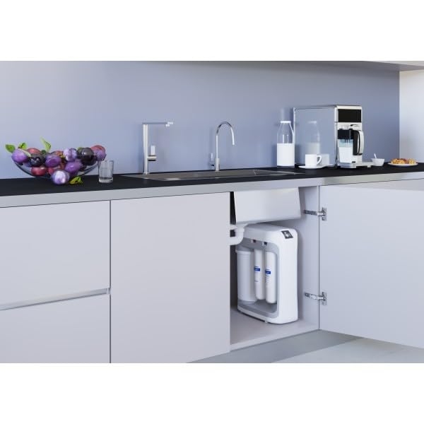 AQUAPHOR RO-202S Umkehrosmoseanlage - Reverse Osmosis System für 380 Liter am Tag mit Keimsperre und