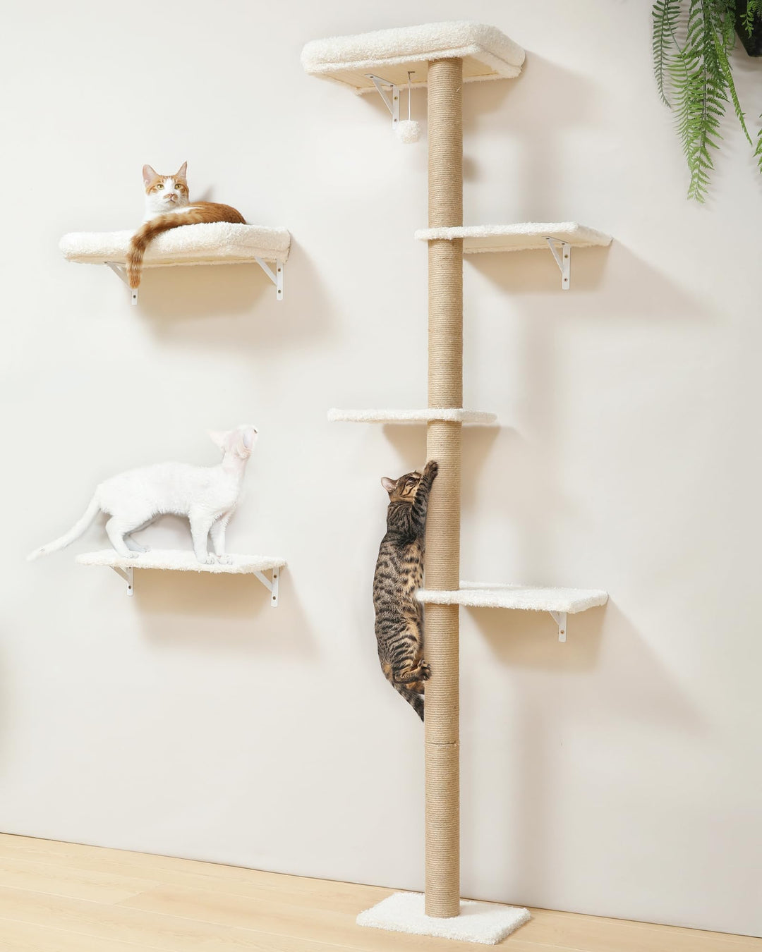 FUKUMARU Kletterwand Katzen-Set, 178 cm hoch, stabiles 3-in-1 Kratzbaum-Set aus mehrschichtigem Mass