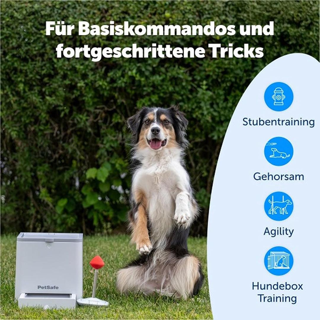 PetSafe Teach & Treat Ferngesteuerter Belohnungstrainer für Hunde, Training und positive Verstärkung