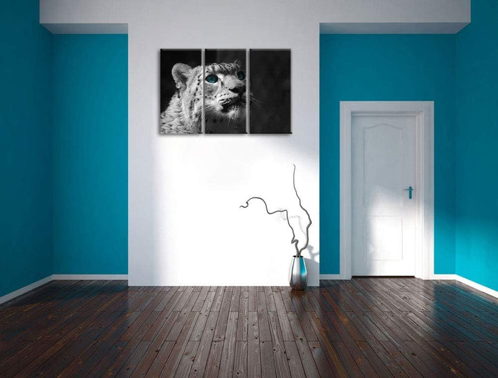 Anmutiger Schneeleopard Blaue Augen schwarz/weiss 3-Teiler Leinwandbild 120x80 Bild auf Leinwand, XX