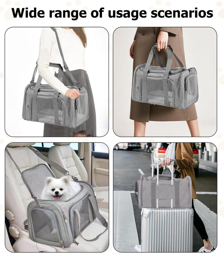 Transportbox für Katze und Hund, Faltbare Transporttasche, atmungsaktive Katzentransportbox, mit Sch