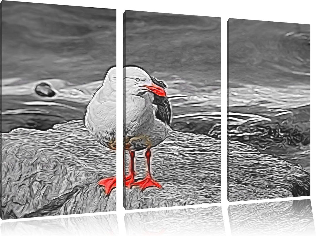 kleine Möwe auf Felsbrocken schwarz/weiss Spezial 3-Teiler Leinwandbild 120x80 Bild auf Leinwand, XX
