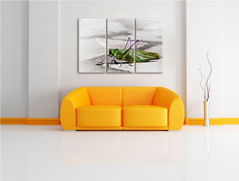 elegante Heuschrecke NewArt 3-Teiler Leinwandbild 120x80 Bild auf Leinwand, XXL riesige Bilder ferti