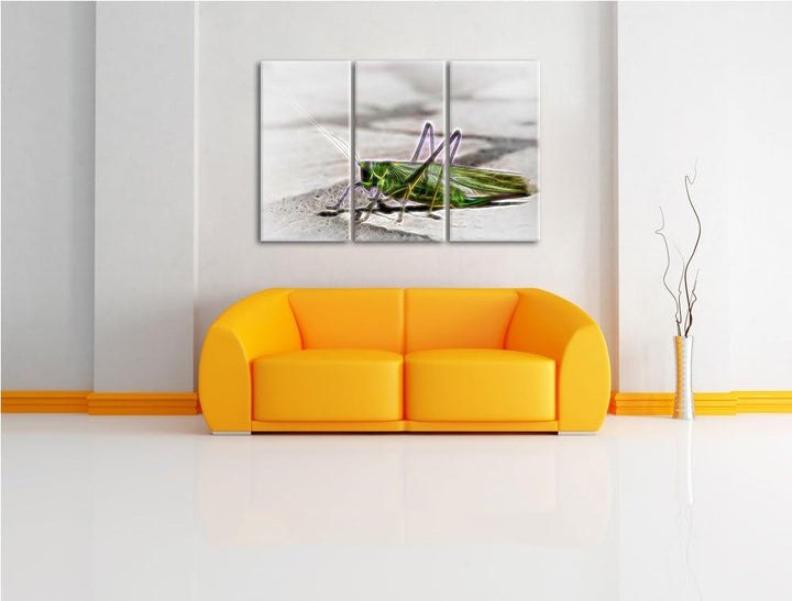elegante Heuschrecke NewArt 3-Teiler Leinwandbild 120x80 Bild auf Leinwand, XXL riesige Bilder ferti