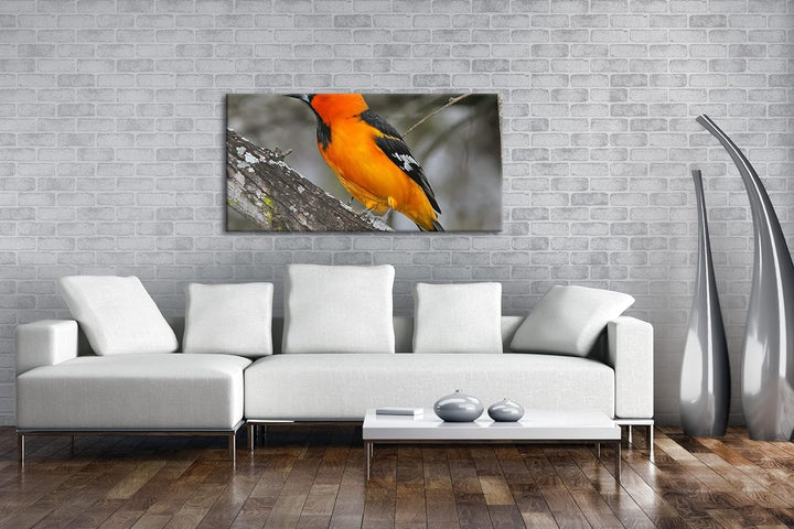 Anmutiger Vogel Panorama 120x60 cm als Leinwandbild, Motiv fertig gerahmt auf Echtholzrahmen, Hochwe