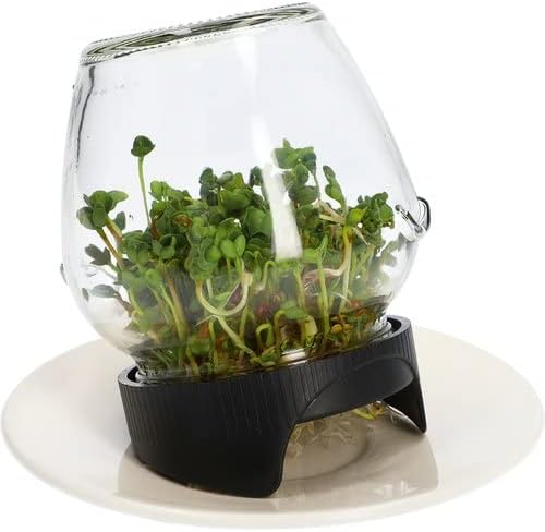 3 X KEIMBOX Keimgarten, Keimgerät, Keimglas Twist-Off + Radieschensamen