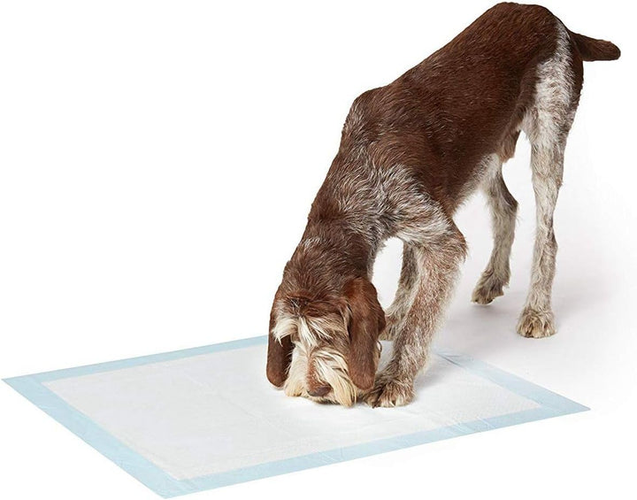 Hygienische Unterlagen für Haustiere Trainingsunterlagen für Welpen Puppy Training Pads Trainingpads