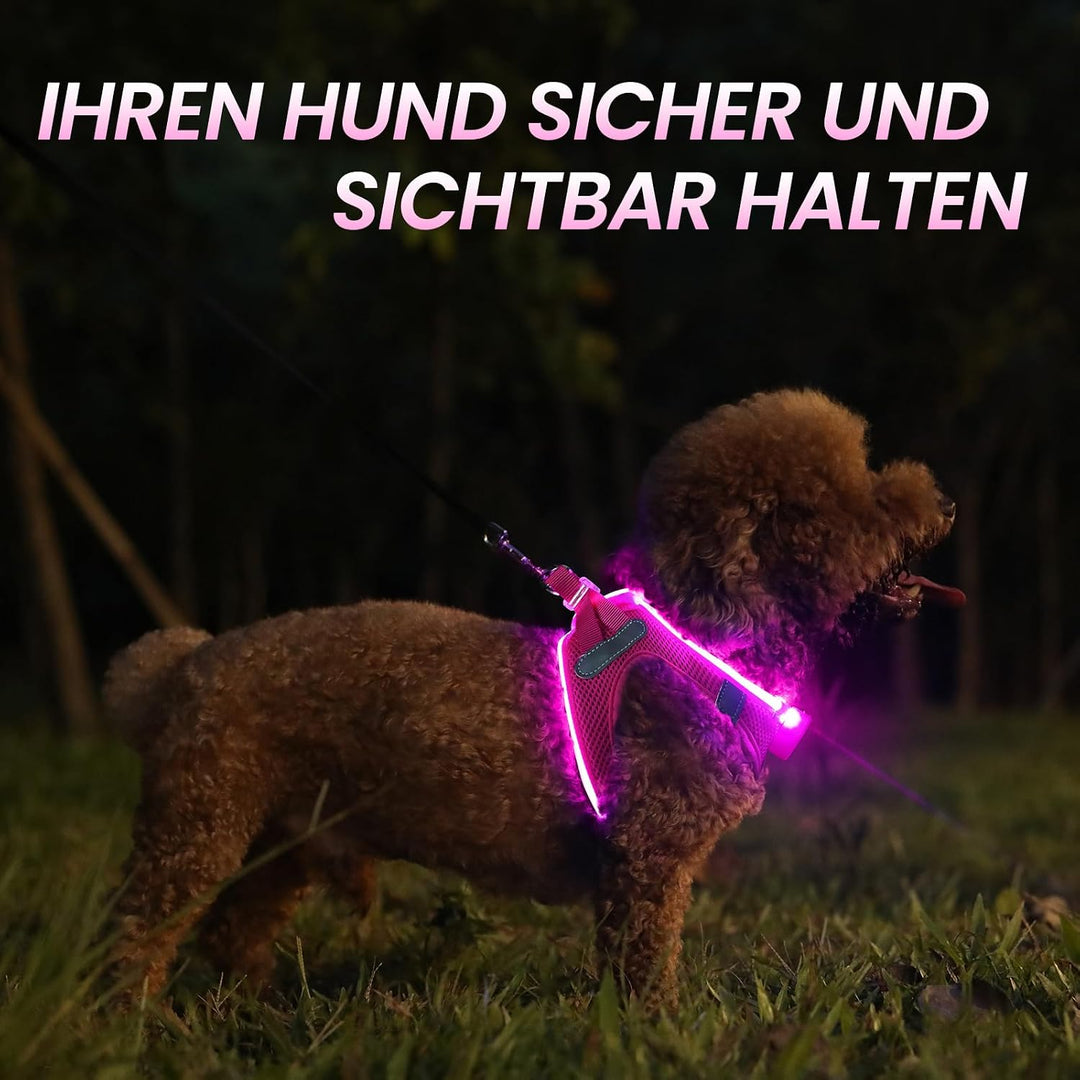 PcEoTllar Hundegeschirr Leuchtend, Leuchtgeschirr LED Aufladbar & Reflektierendes, Beleuchtetes Leuc