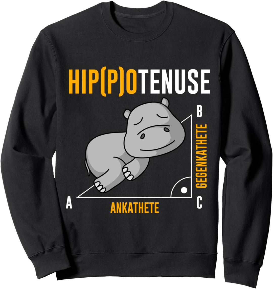 Nieldpferd Hippo Hippotenuse Algebra Mathelehrer Mathe Sweatshirt