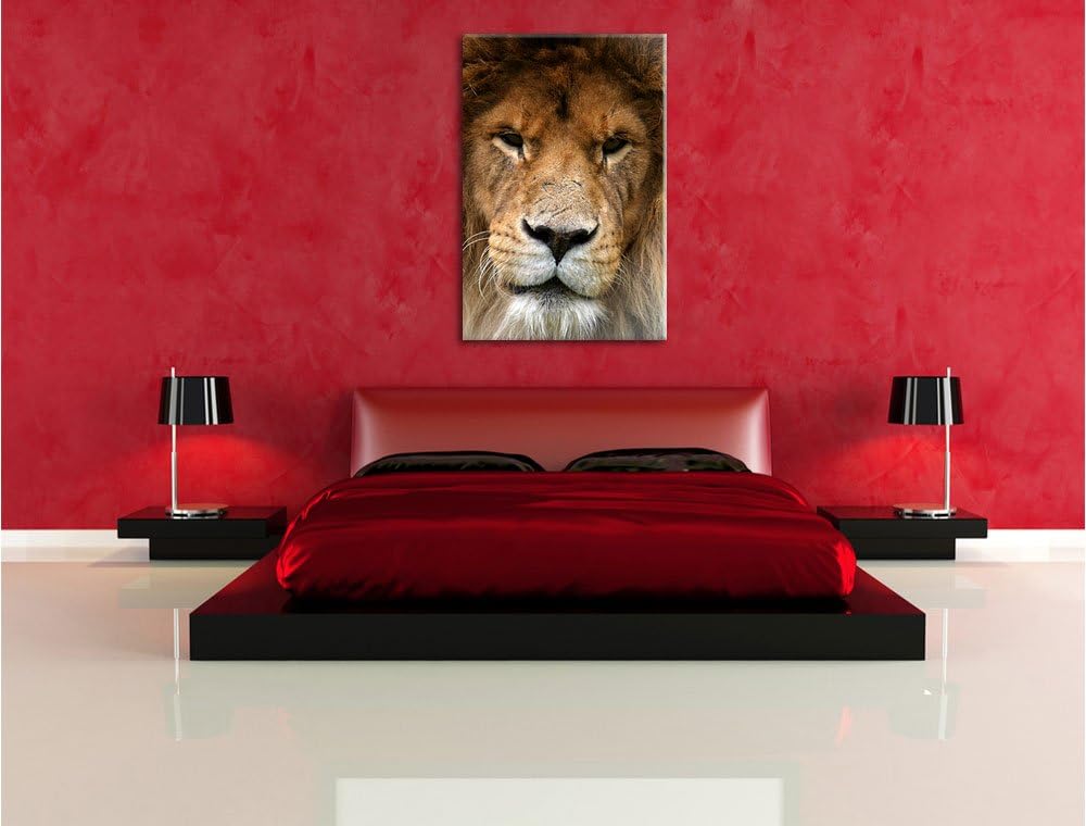 Kampfvernarbten, Format: 100x70 auf Leinwand, XXL riesige Bilder fertig gerahmt mit Keilrahmen, Kuns