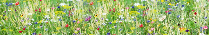 Dimex Küchenrückwand Folie selbstklebend Wiese mit Blumen | Klebefolie - Dekofolie - Spritzschutz fü