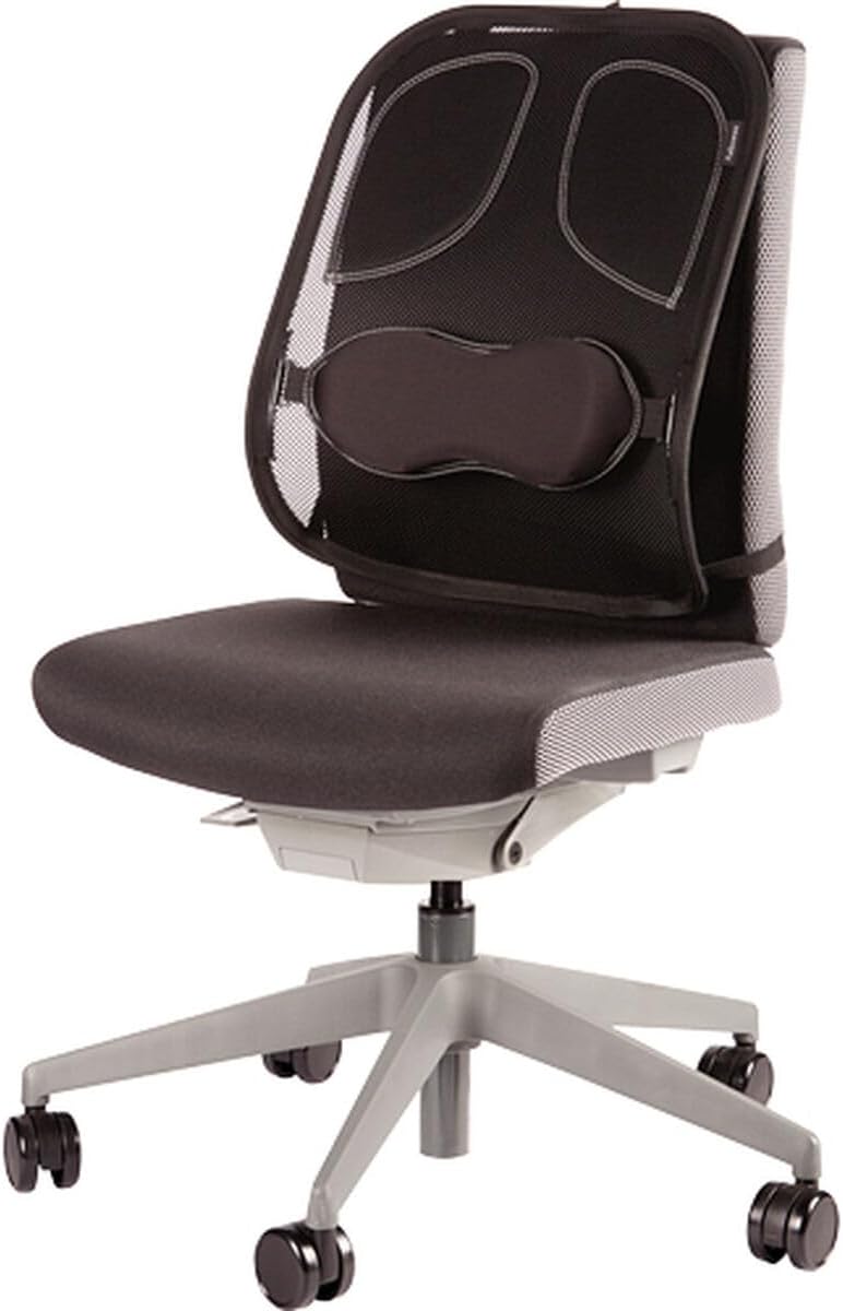 Fellowes 8029901 Netz-Rückenstütze Professional Series mit eingearbeiteten Polstern, Graphit Profess