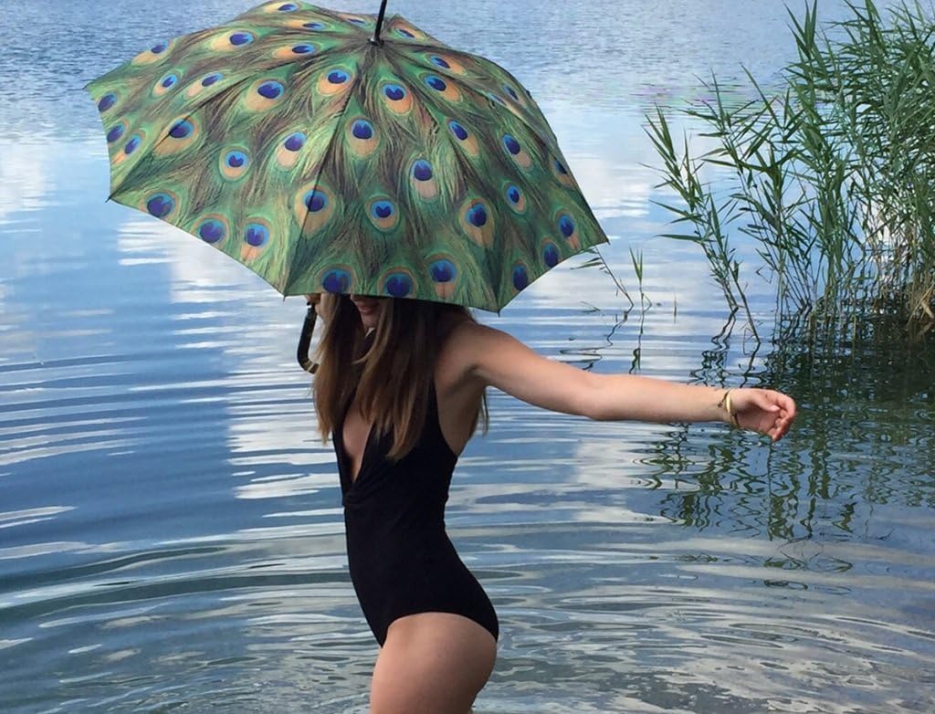 VON LILIENFELD Regenschirm Taschenschirm Pfau Windfest Auf-Zu-Automatik Stabil Leicht Kompakt Federn