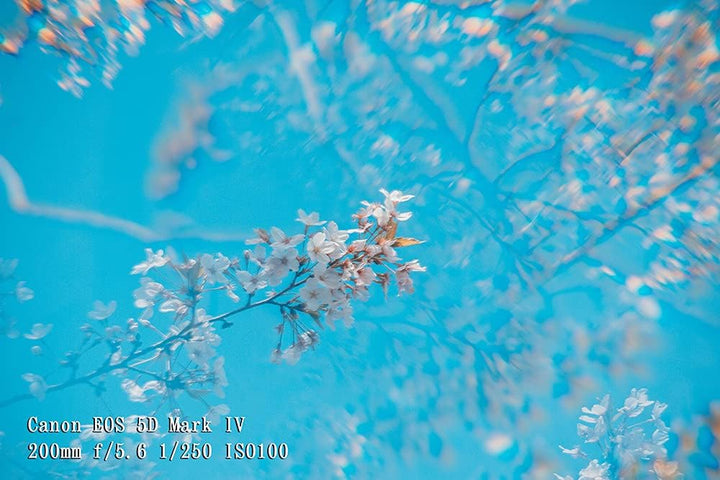 JONGSUN Vier-Prisma Spezialeffektfilter 77mm FX Glas Blendung Widescreen Film Anamorphotische DSLR F