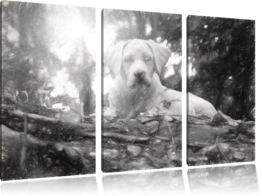 Pixxprint Hund im Wald bei Sonneuntergang / 3-Teilig/Gesamtmass 120cm Leinwandbild bespannt auf Holz
