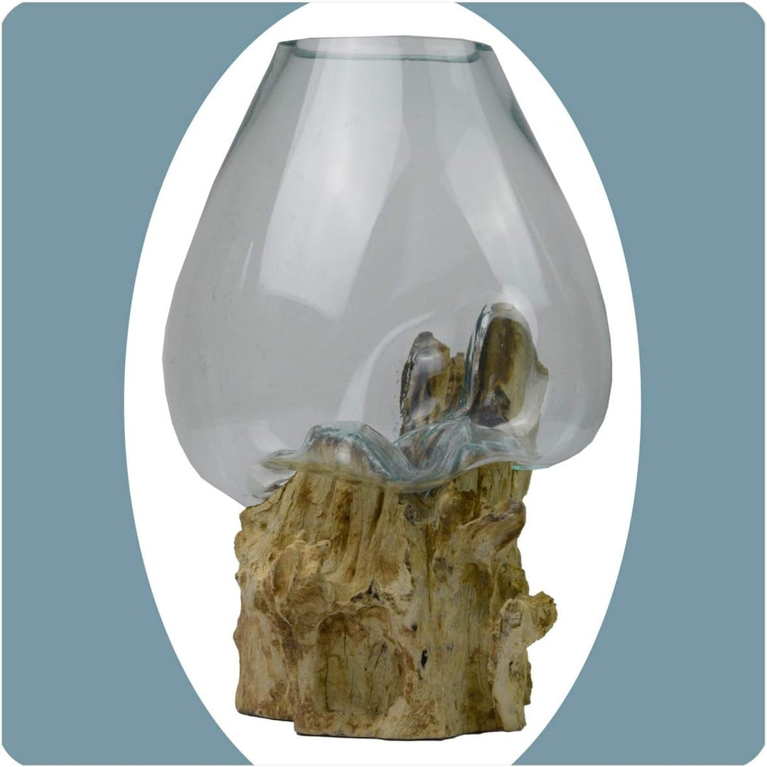 Wurzelholz Glas-Vase Wurzel-Vase Deko-Glas Kaffeewurzel Holz Design Blumenvase extra gross