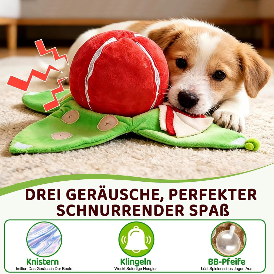 Quietschendes Hundespielzeug Kleine, Leckerli Ball für Hunde, Interaktives Such-und-Versteckspass mi