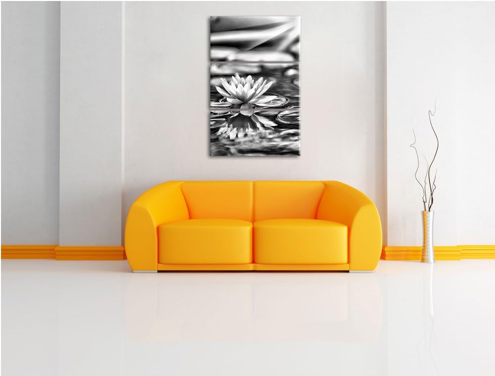 Pixxprint Monocrome, Zarte Seerose auf Wasseroberfläche 3-Teiler Leinwandbild 120x80 Bild auf Leinwa