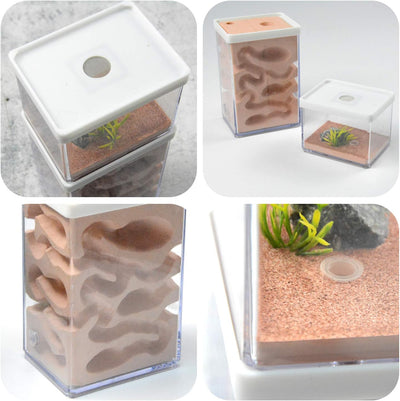 aleawol Natürliche Ameisenfarm Ameisennest Formicarium aus Gips Transparentes Ameisenhaus Ameisen Zu