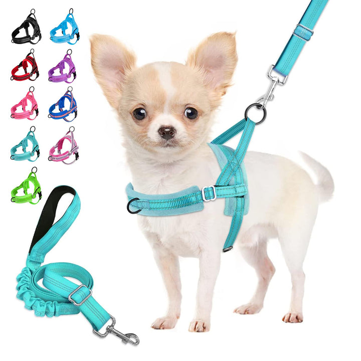 Eyein No-Pull Hundegeschirr mit Leine, Geschirr mit Weich Gepolstertes, Reflektierend, Verstellbares