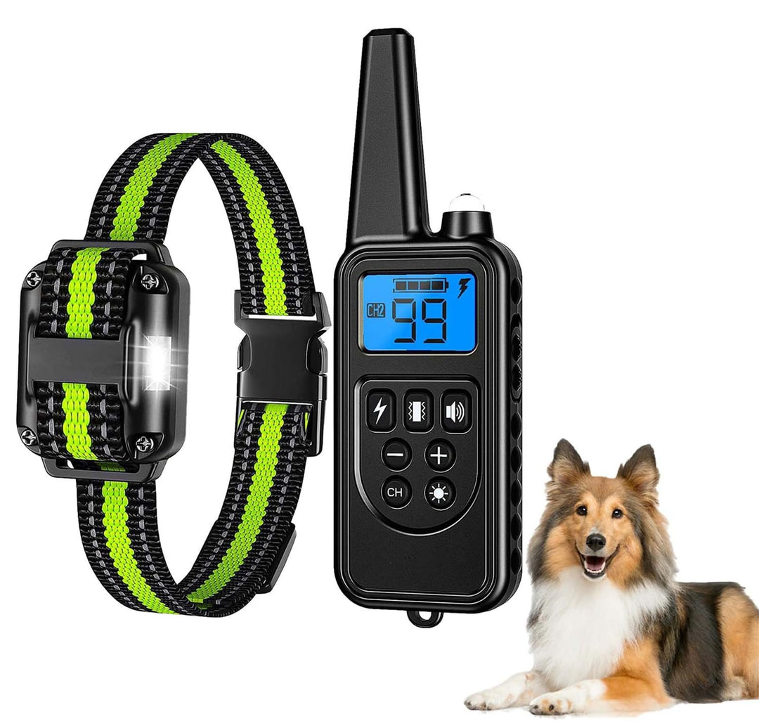 Erziehungshilfen,Agility-Ausrüstung,Ideal auch für Agility-Training.Praktische Hundeerziehungshilfen