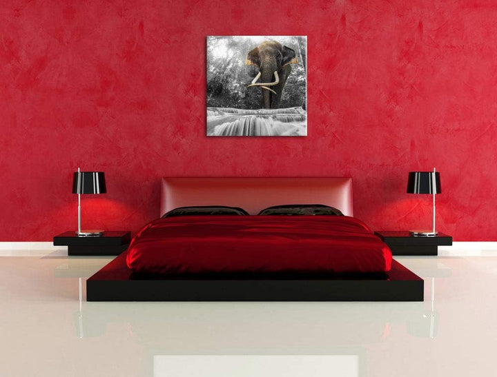 Pixxprint riesiger Elefant am Bach als Leinwandbild | Grösse: 70x70 cm | Wandbild | Kunstdruck | fer