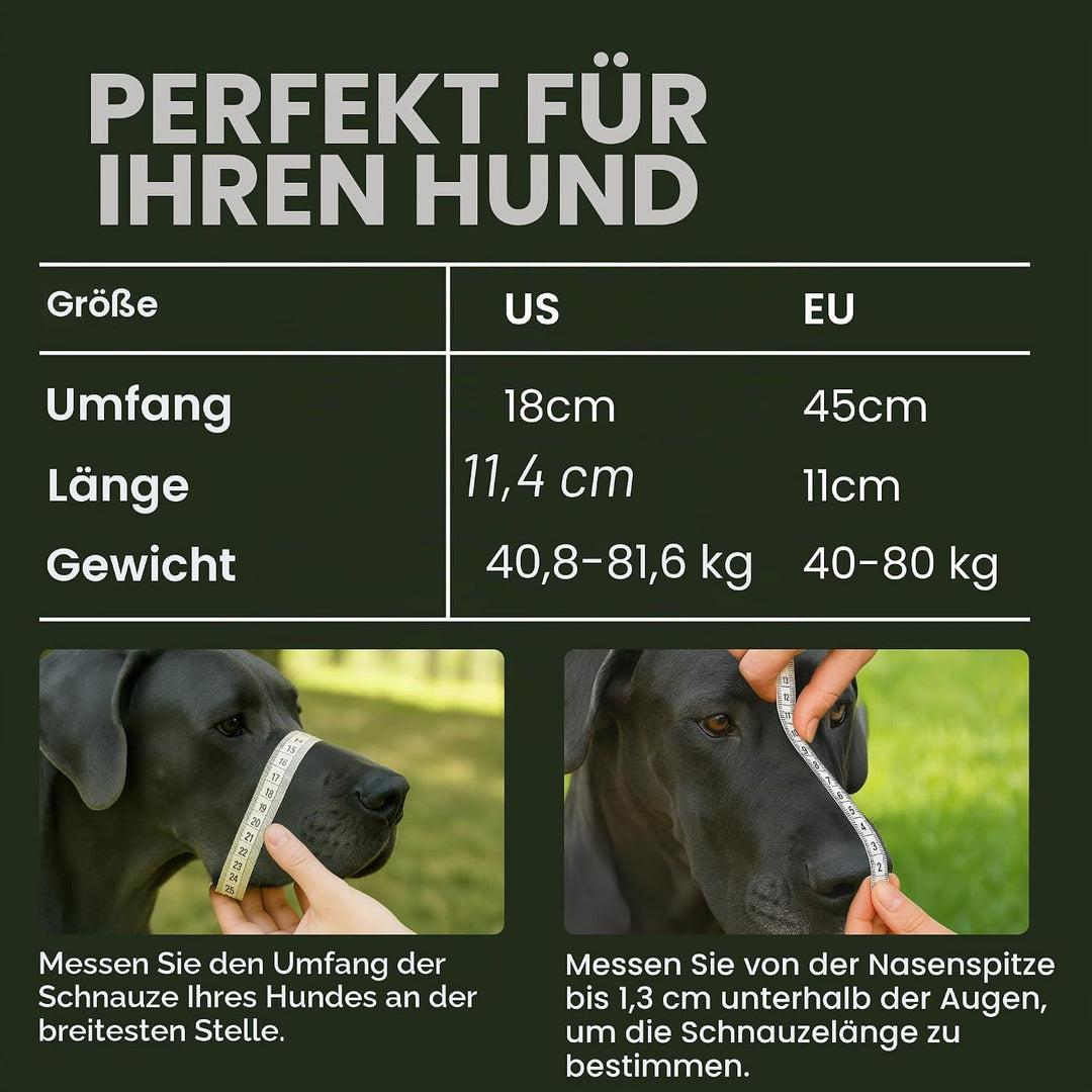 BronzeDog Metall Hund Maulkorb Drahtkorb Deutsche Dogge Mastiff Bernhardiner Atmungsaktive Maske mit
