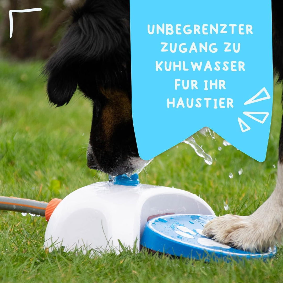 CoolPets Splash Water Fountain - Wasserspass für Haustiere - Lieferung mit Zwei Düsen - Trinkwasser