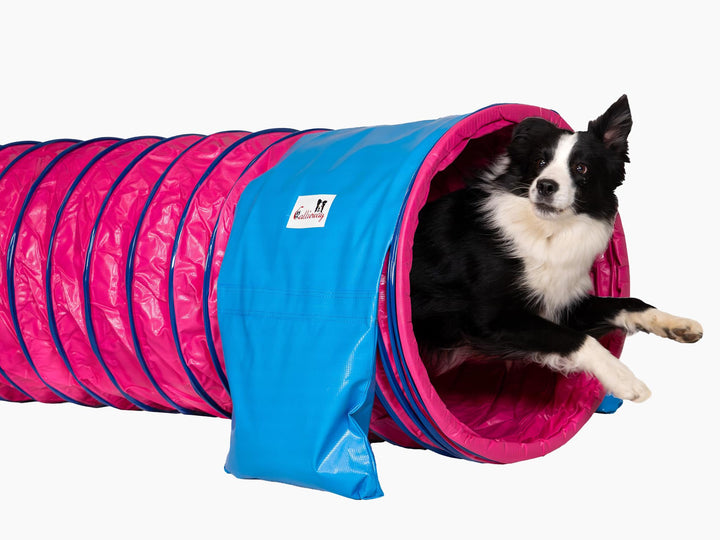 Callieway® Dog Agility Tunnel Profi Hunde Tunnel Agility Gerät (Stützsandsäcke bereits inklusive) (5