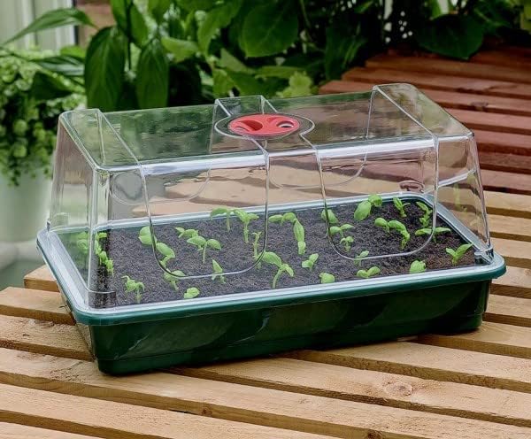 Garland Beheiztes Mini-Gewächshaus Super 7, 76 x 18,5 x 15 cm, für Keime und Stecklinge, 7 Stück