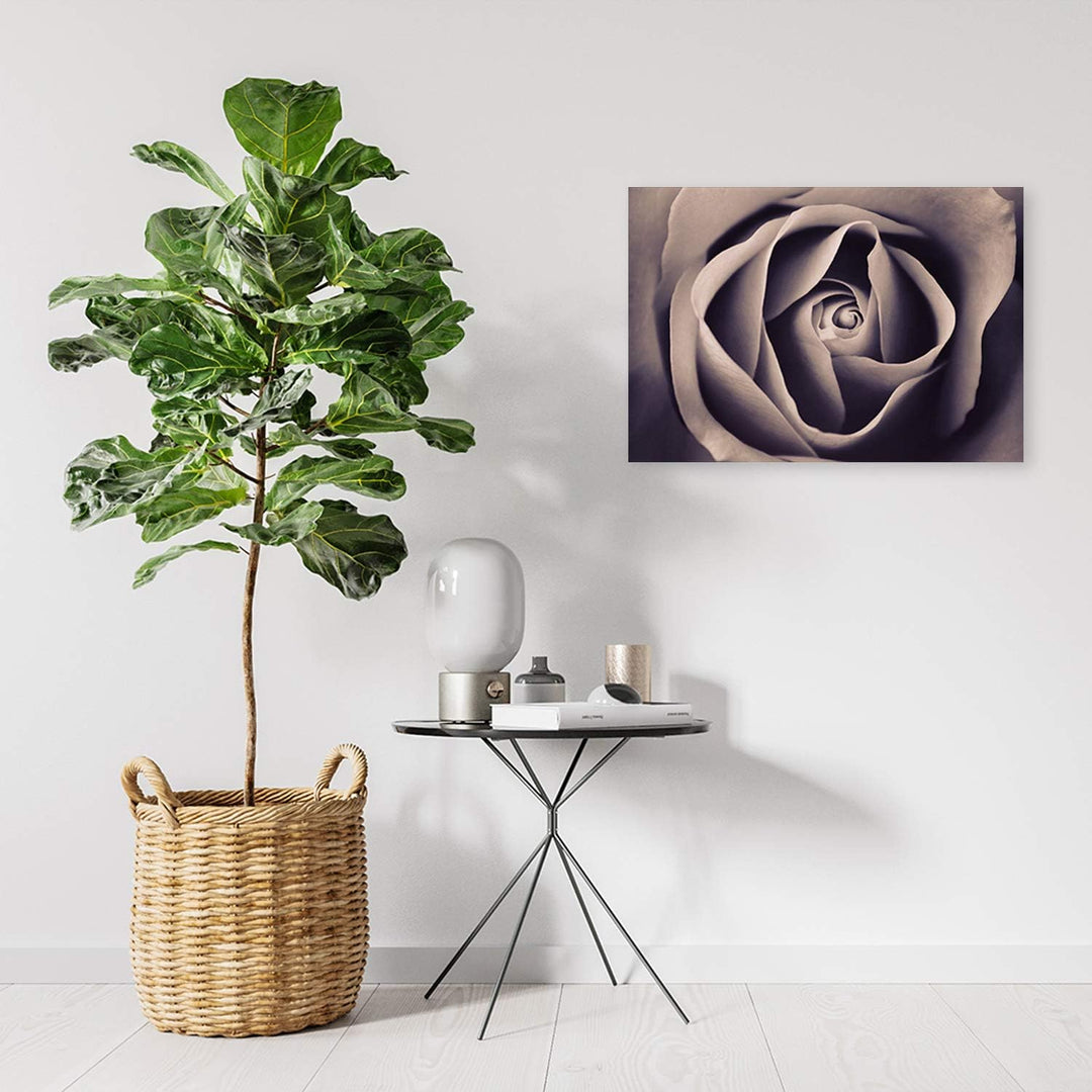Feeby Bild auf Leinwand Rose Kunstdruck modern Blume Grau 80x60 cm M14549 80x60 cm, M14549 80x60 cm