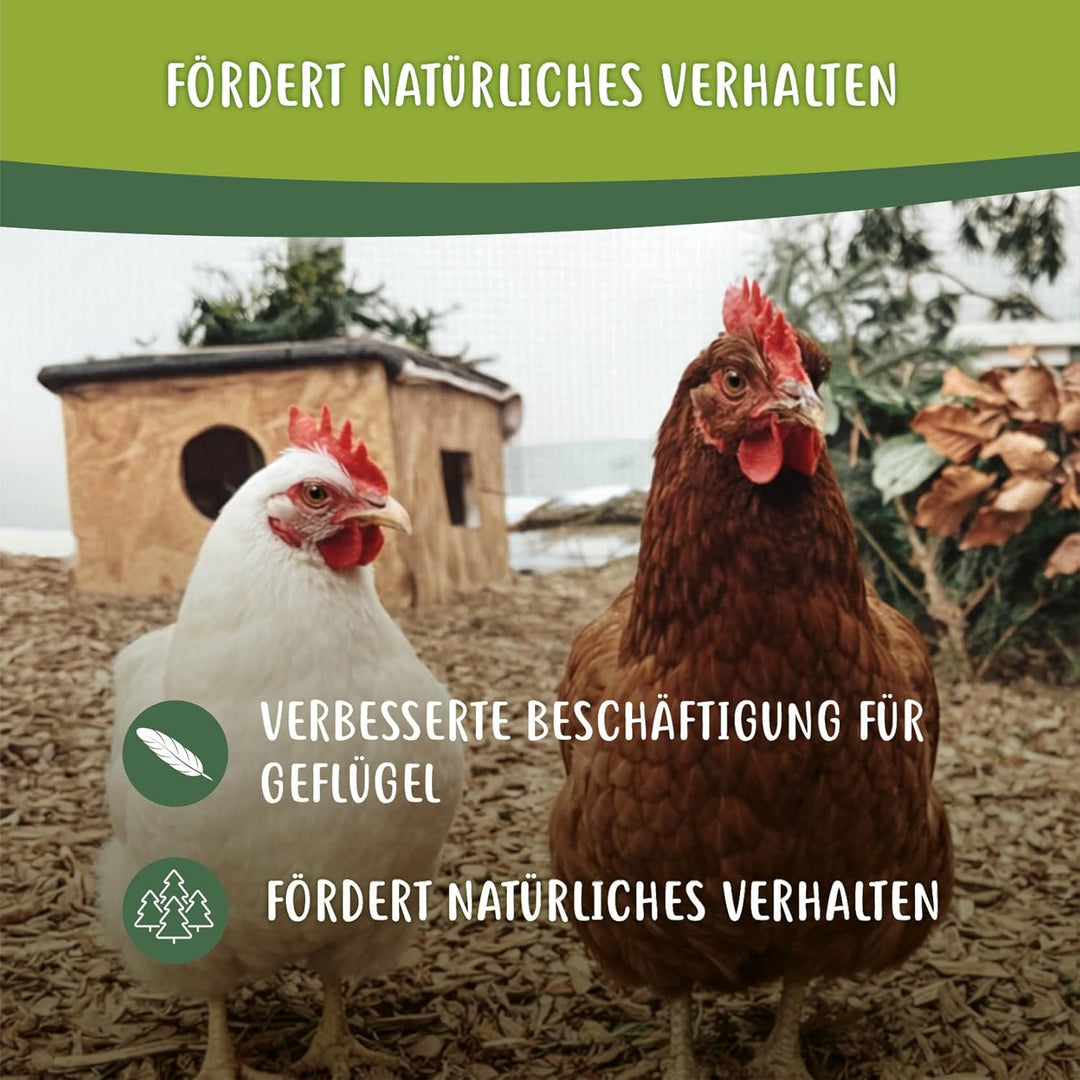 Waldboden Einstreu mit Mais 2X 40 L – natürliches Erlebniseinstreu mit Tannen & Fichtennadeln – Besc