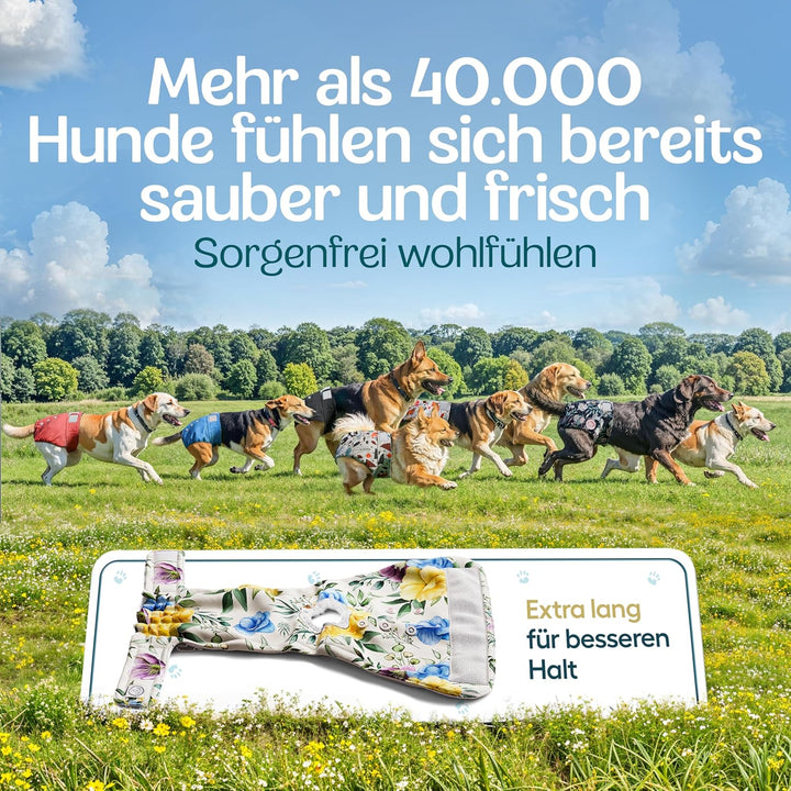 HUND IST KÖNIG® Hundewindeln für Hündinnen [3 STK] Saugstarke Läufigkeitshose für Hündinnen 3-Fach j
