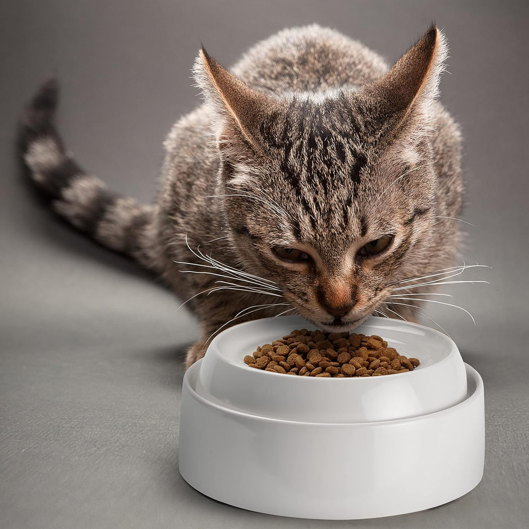 CatGuru Katzennäpfe, Schnurrhaar, stressfreier Futternapf, lindert Müdigkeit, breite, rutschfeste Fl
