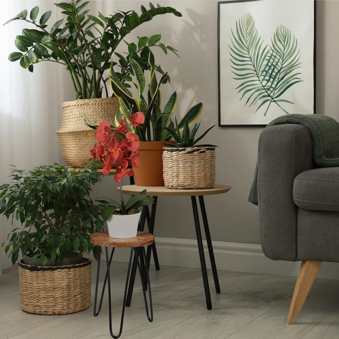 Relaxdays Blumenhocker, Akazienholz, rund, für Blumentöpfe, Pflanzkübel, Retro Blumenständer HD: 42x