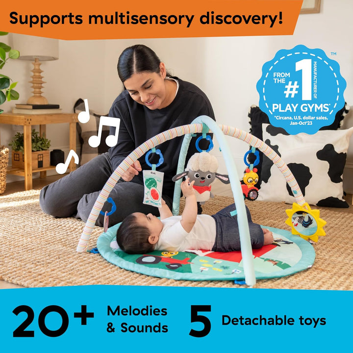 Baby Einstein Farm Explorers Happy Harvest Touch &amp; Feel Aktivitätsspielzeug mit musikalischem Plüsch