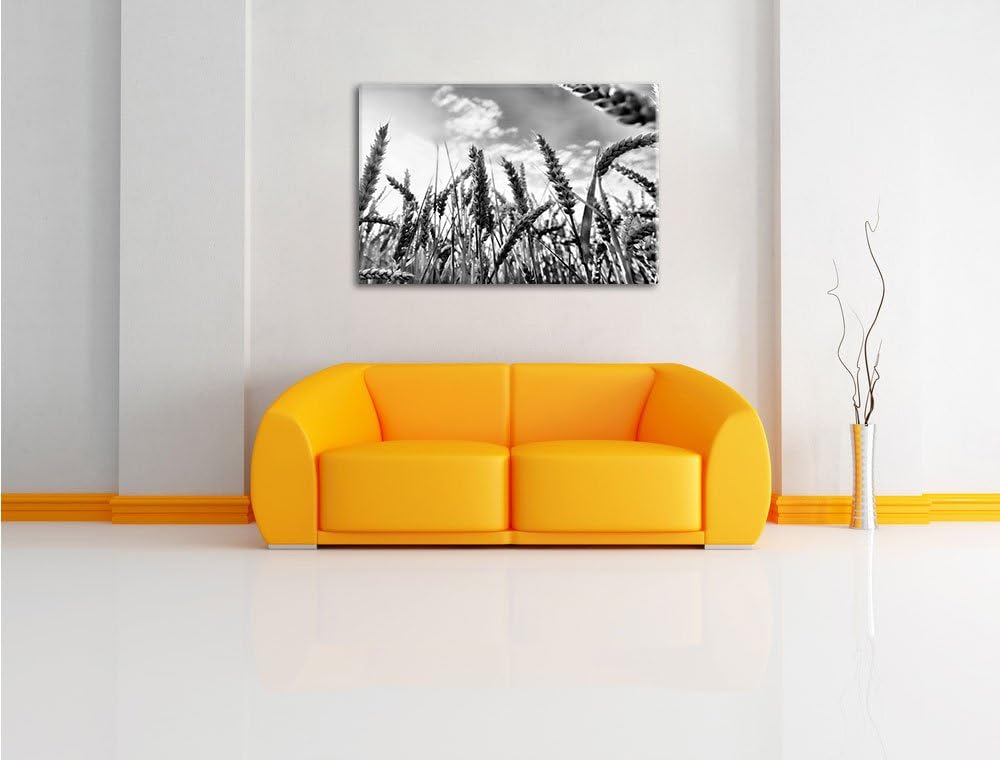 Pixxprint Getreide im Sonnenschein / 100x70cm Leinwandbild bespannt auf Holzrahmen/Wandbild Kunstdru