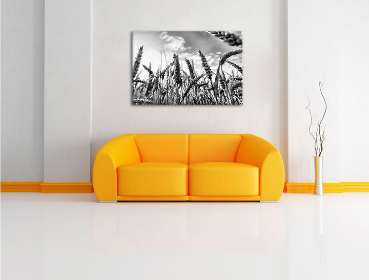 Pixxprint Getreide im Sonnenschein / 100x70cm Leinwandbild bespannt auf Holzrahmen/Wandbild Kunstdru