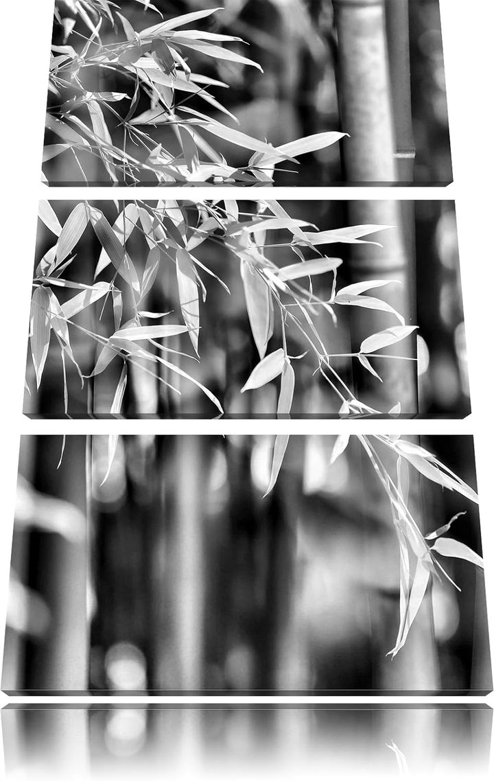 Pixxprint Bambus mit Blättern als Leinwandbild/Grösse: 3 Teilig (120x80) cm/Wandbild/Kunstdruck/fert