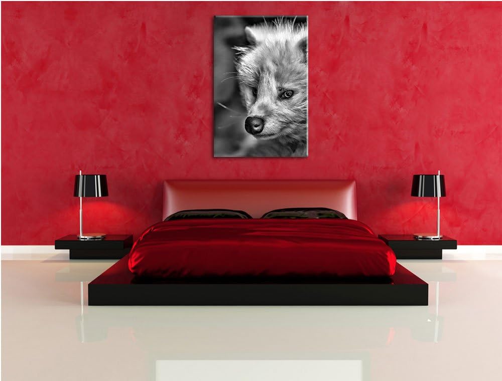 Pixxprint Monocrome, Polarfuchs in Höhle, Format: 100x70 auf Leinwand, riesige Bilder fertig gerahmt