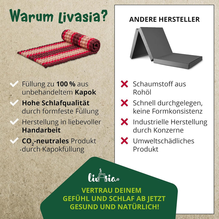 livasia Rollmatte Rollmatratze L-200x110x4,5cm, Gästebett Gästematratze 1 Person, Reisebett Kofferra