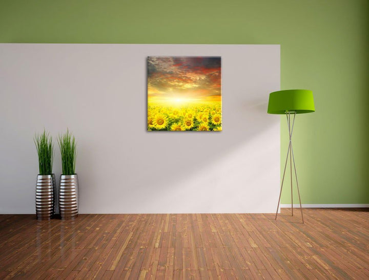 Sonnenblumenfeld, Format: 70x70 auf Leinwand, XXL riesige Bilder fertig gerahmt mit Keilrahmen, Kuns