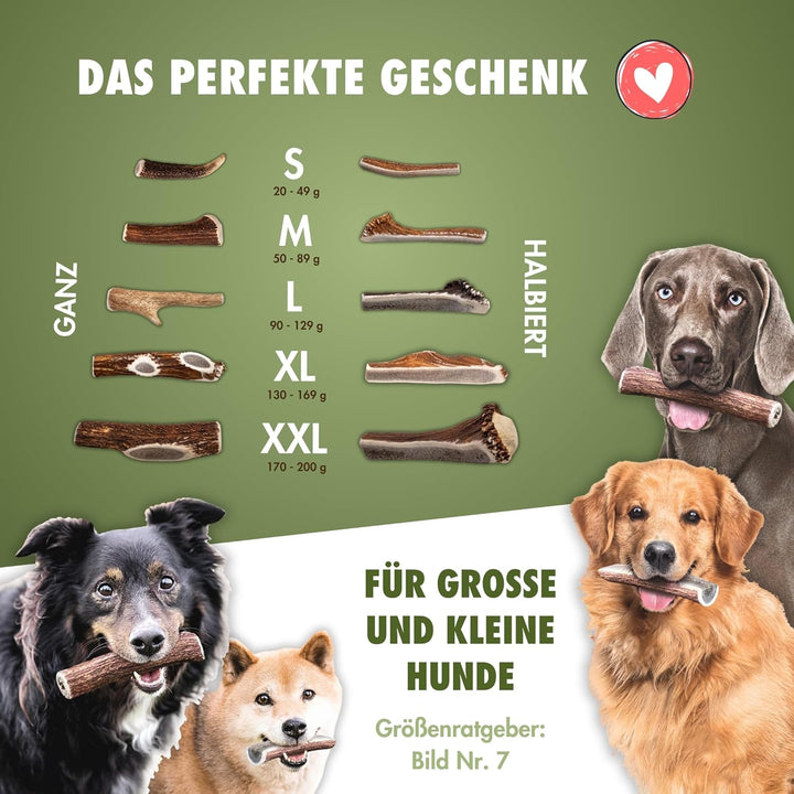 FOURLEGS® natürlicher Kausnack für Hunde aus 100% Hirschgeweih - Mineralstoffe, Kauspielzeug, Kausta