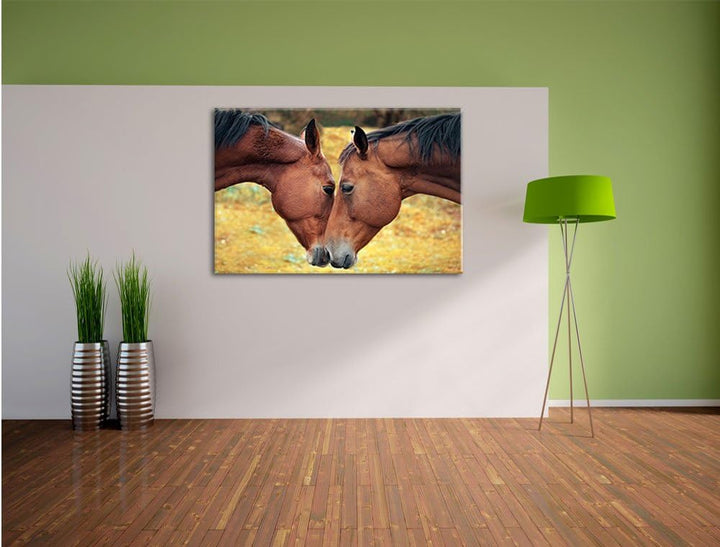 zwei schmusende Pferde, Format: 100x70 auf Leinwand, XXL riesige Bilder fertig gerahmt mit Keilrahme